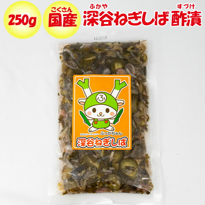 深谷ねぎしば漬 250g ふかや物産観光 埼玉県深谷市 【送料別】【BS】