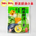 サンコーの野菜即漬の素 100g 5袋入り三幸【埼玉県上尾市 送料別】【NS】