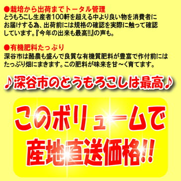 【先行予約 6月下旬発送予定】味来（みらい）2Lサイズ 13本 約4kg 送料無料【朝もぎのとうもろこし 産地直送 夏季限定/季節野菜 6月〜7月 クール宅急便 同梱不可】