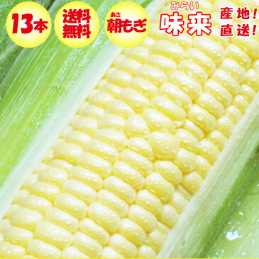 【先行予約 6月下旬発送予定】味来(みらい)2Lサイズ 13本 約4kg 送料無料【朝もぎのとうもろこし 産地直送 夏季限定/季節野菜 6月〜7月 クール宅急便 同梱不可】