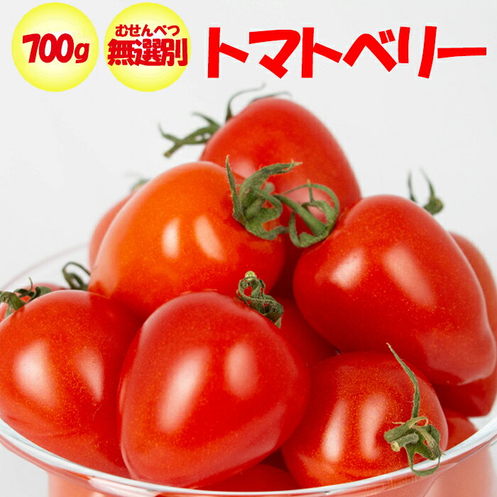 トマトベリー 700g 無選別 サイズ表記なし 【季節野菜 2月〜6月 埼玉県深谷市産 送料別 常温発送／クール便 気温によって配送方法変更 】