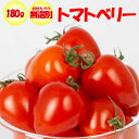 トマトベリー 180g 無選別（サイズ表