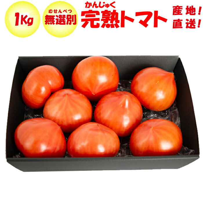完熟トマト 1kg 無選別（M/Sサイズ混在 約6〜10個）【 季節野菜 3月〜5月初旬 埼玉県深谷市産 送料別 常温発送／クール便（気温によって配送方法変更）】のサムネイル