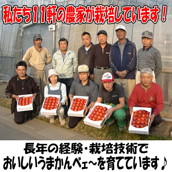 高糖度トマト フルーツトマトうまかんべェ～ 5玉 A品（Sサイズ）【約420g～460g）季節野菜 3月～5月中旬 埼玉県深谷市産 送料別 常温発送／クール便（気温によって配送方法変更）】