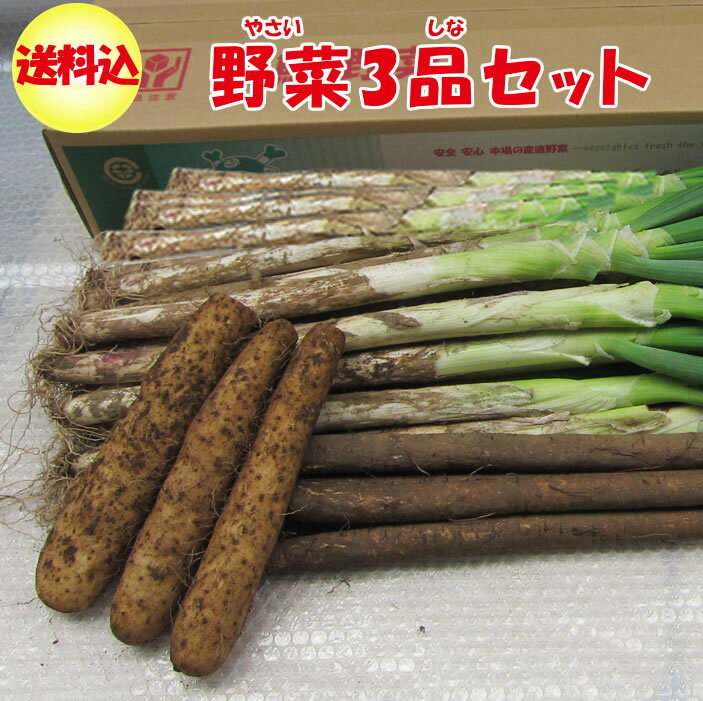 【冬ギフト 野菜セット】野菜3品10kgセット 【深谷ねぎ8Kg/大和芋1Kg/ごぼう1Kg 　贈答用・販売期間：12月から発送予定 送料込み】