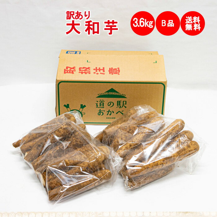 大和芋3.6kg(1.8Kg x 2袋) B品:訳あり【沖縄/離島は配送不可 ねっとりやまといも 送料無料】