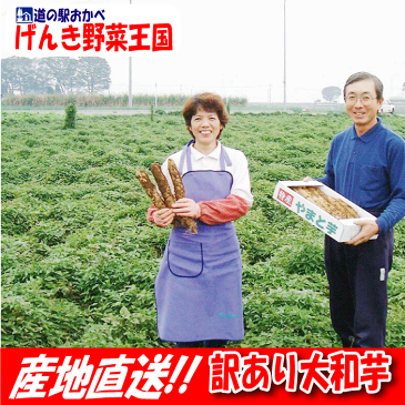 【送料無料】【ねっとり大和芋】【訳あり】大和芋1,8kg