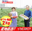 【粘り強い大和芋】最高級AA2kg 化粧箱入り【1612RFD】