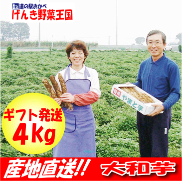 【粘り強い大和芋】最高級AA4kg　化粧箱入り