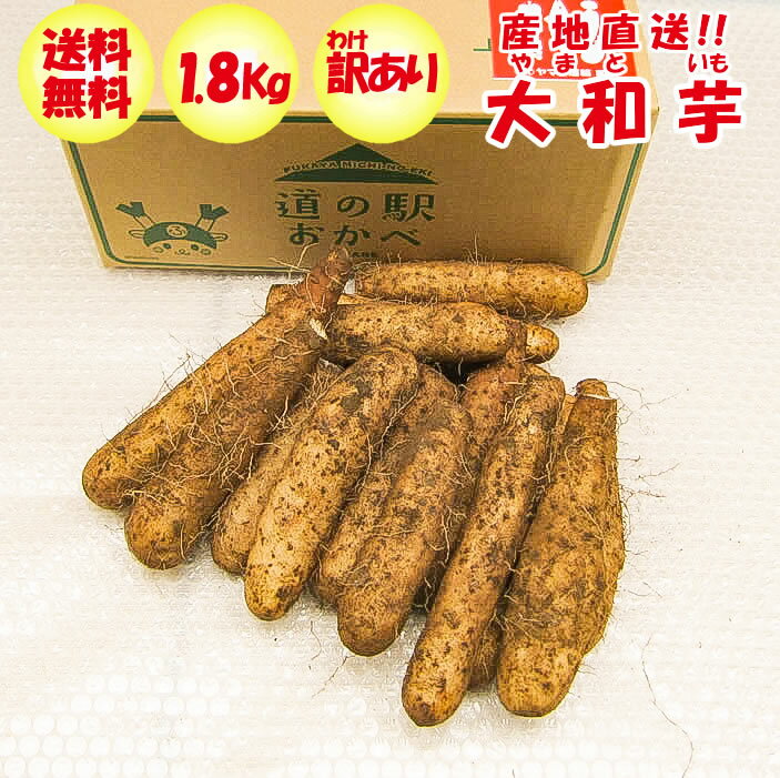 大和芋1.8Kg B品：訳あり ねっとりやまといも【送料無料】