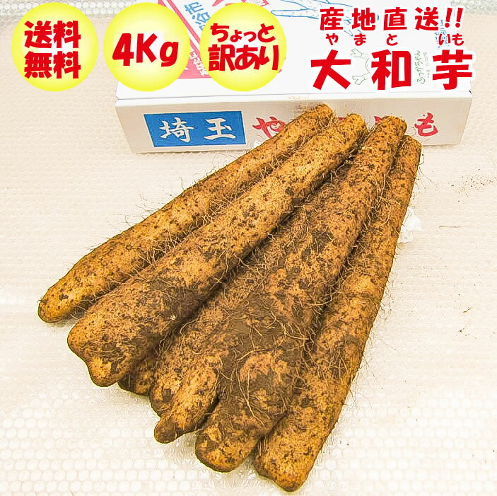 大和芋4Kg A品：ちょっと訳あり【ねっとりやまといも 送料無料】の商品画像