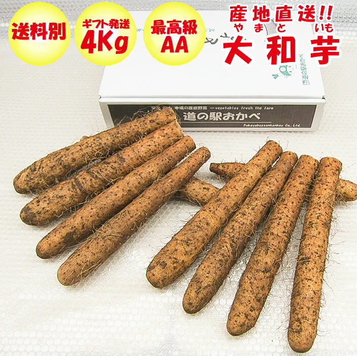 大和芋 4Kg AA品：最高級 化粧箱入り【送料別】