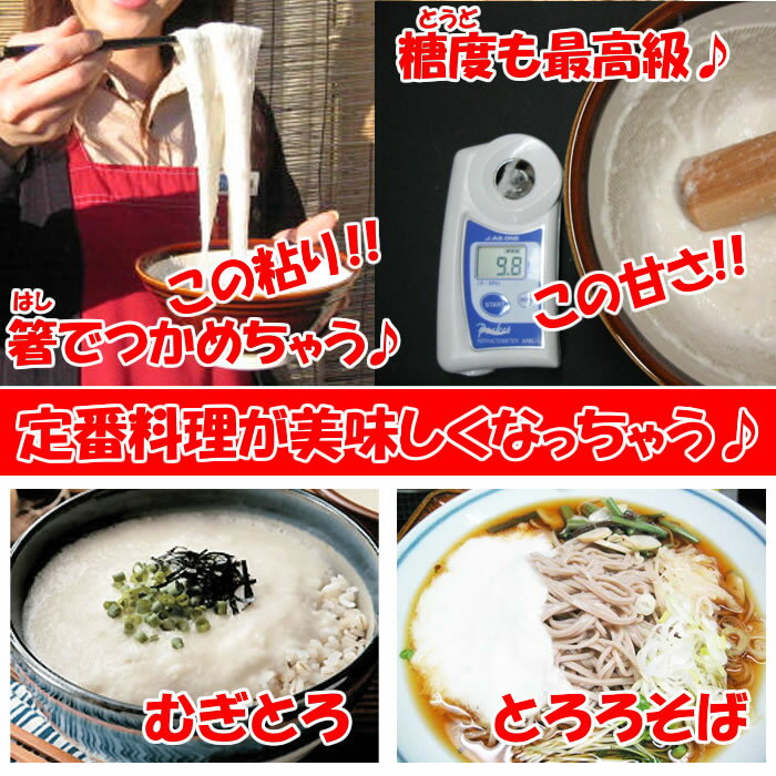 産地直送 埼玉県深谷市産 訳あり は サイズが細かったり小ぶりだったり 成長時に生じる変形やスジ 収穫時に生じるキズも x 大和芋3.6kg B品: 訳あり 1.8Kg でも味はA品やAA品と遜色ありません 2袋 キャンペーンもお見逃しなく 産地直送 埼玉県深谷市産 訳あり は サイズが細かったり小ぶりだったり 成長時に生じる変形やスジ 収穫時に生じるキズも x 大和芋3.6kg B品: 訳あり 1.8Kg でも味はA品やAA品と遜色ありません 2袋 キャンペーンもお見逃しなく