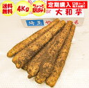 【定期購入・定期便】大和芋4Kg A品：ちょっと訳あり 定期購入【毎月 年12回コース 常温発送 送料無料】