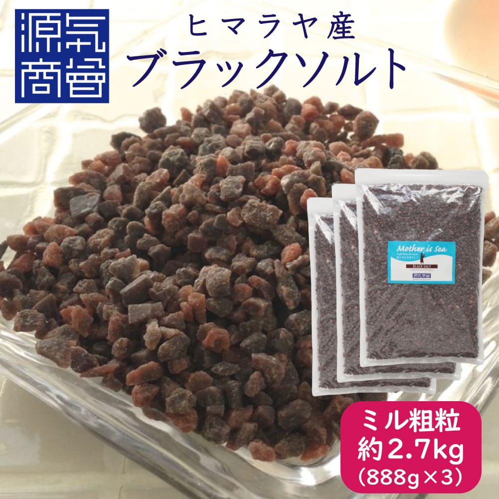 ブラックソルト ブラック岩塩 ミルタイプ 粗粒 小粒 2664g パウチ 個包装 | 源気商会 パキスタン ヒマラヤ岩塩 焼き塩 おうち温泉 【888g×3袋セット】【送料無料】