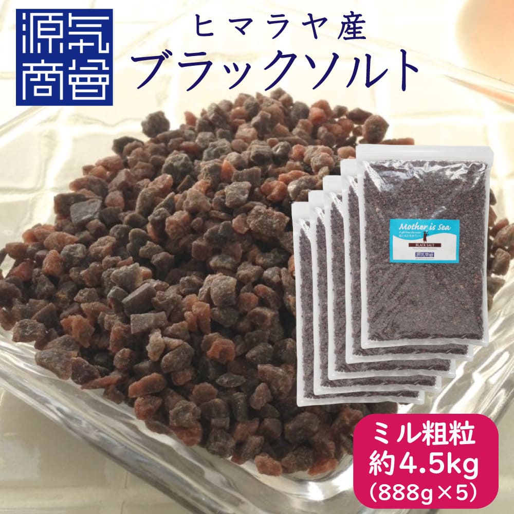 ブラックソルト ブラック岩塩 ミルタイプ 粗粒 小粒 4440g パウチ 個包装 | 源気商会 パキスタン ヒマラヤ岩塩 焼き塩 硫黄 おうち温泉 【888g×5袋セット】【送料無料】
