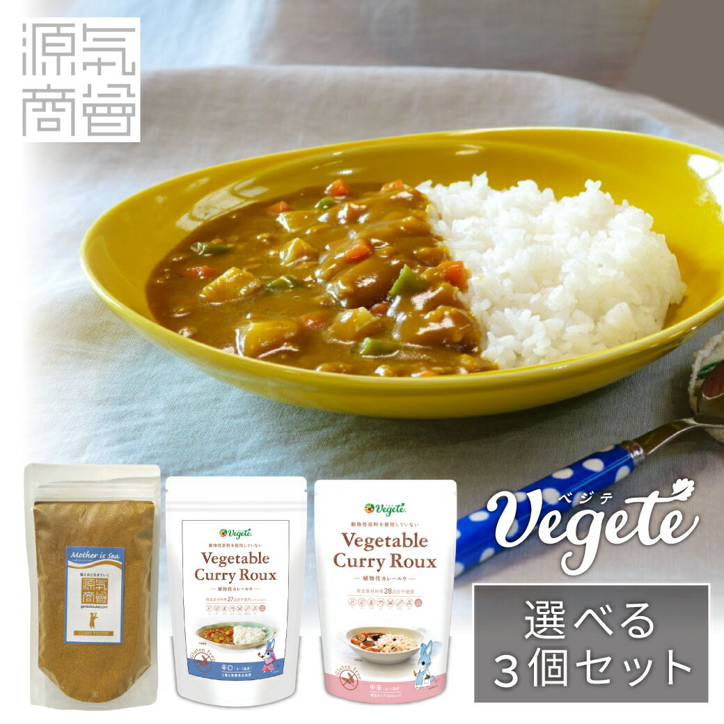 【3パックセット】植物性 カレールウ ベジテ Vegete 140g 2袋 源気商会 ましましカレーパウダー 200g 1袋 計3袋 無添加 カレー カレールー ヴィーガン [2]