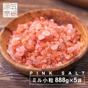 ピンク岩塩 ピンクソルト ヒマラヤ岩塩 食用 ミルタイプ 4440g パウチ 個包装 源気商会 パキスタン 無添加 食用 天然塩 【888g×5個セット】【 送料無料 】 [3]