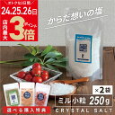 ＼4/24(水)～27(土)9:59まで★店内ポイント最大3倍／ヒマラヤ岩塩 源気商会 クリスタル岩塩 ミルタイプ ミル用 小粒 食用 500g(250g×2袋) パウチ パキスタン 無添加 メール便送料無料 