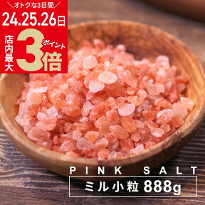 ＼4/24(水)～27(土)9:59まで★店内ポイント最大3倍／【1000円ポッキリ 送料無料】岩塩 源気商会 ミル ピンクソルト ヒマラヤ岩塩 食用 ミルタイプ 888g パウチ パキスタン 無添加 調味料 天然塩 自然塩 pink888gm [2]