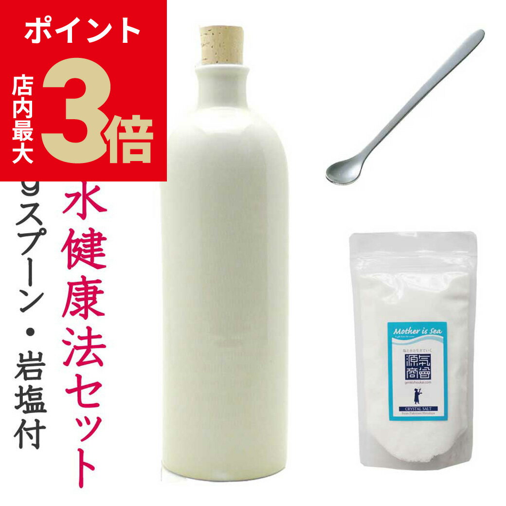 ＼店内P最大3倍★ブラックフライデー／ 送料無料 塩水 岩塩 セット 『 源気商会 オリジナル セット 塩水..