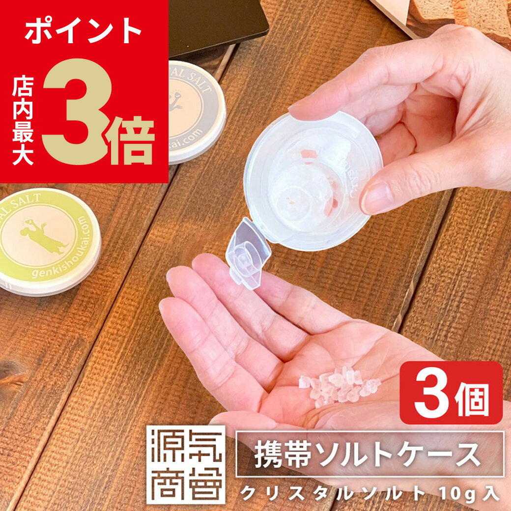 ＼店内P最大3倍★ブラックフライデー／【3個セット】【 岩塩 10g入り】熱中症予防 タブレット『 携帯 ソ..