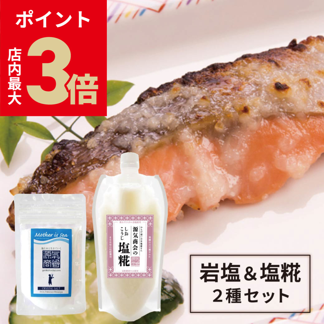 ＼店内P最大3倍★ブラックフライデー／ おためし セット 源気商会 おためしお クリスタル岩塩 100g & 塩..