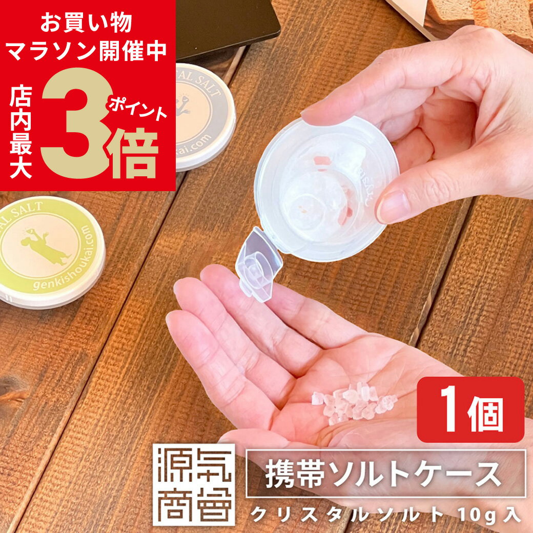 ＼お買い物マラソン16日1:59まで★店内ポイント最大3倍／岩塩入 携帯用 源気商会 オリジナル ソルトケース 1個 熱中症対策 塩飴 無添加 携帯ケース 塩 タブレット 選べるカラー 全3色 