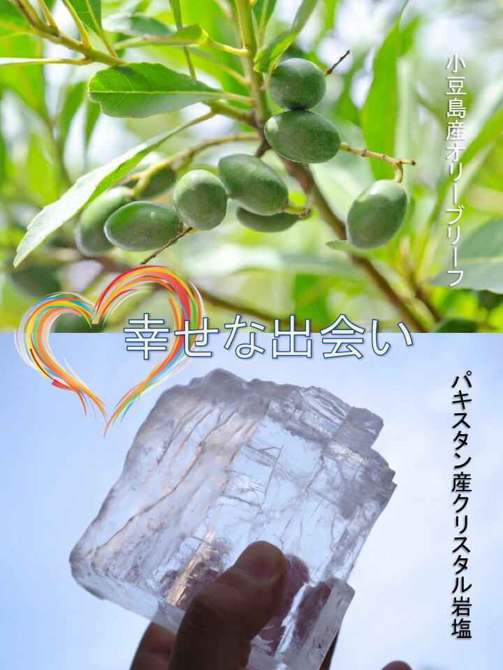 【スーパーSALE★10%OFF】 源気商会 オリジナル オリーブ ハーブソルト 100g クリスタルソルトベース 小豆島 オリーブリーフ クリスタル岩塩 無添加 自然派 シーズニングソルト クレイジーソルト 天然塩 パウダー サラダ 塩 オリジナル商品 人気 限定