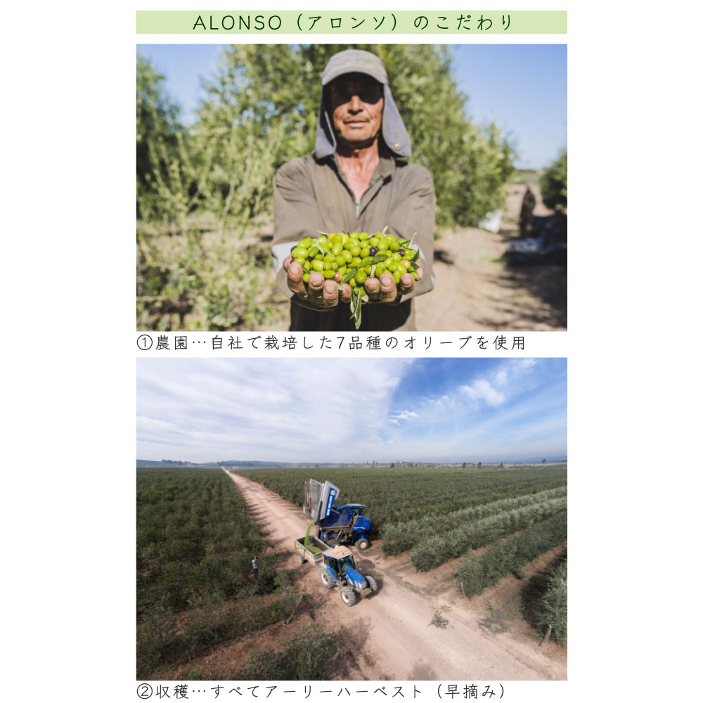 ��2025ǯ12���ٷ��ͥ�ɥ���å׼��ޡ� ���꡼�֥����� �������ȥ�С����󥪥��� ���껺 �� ������ ���ڥ���� �֥��� 229g �٥�����ɥ������ץ쥹 ���ե� ��饪�꡼�֥����� �� �ƥ��ե� [2]