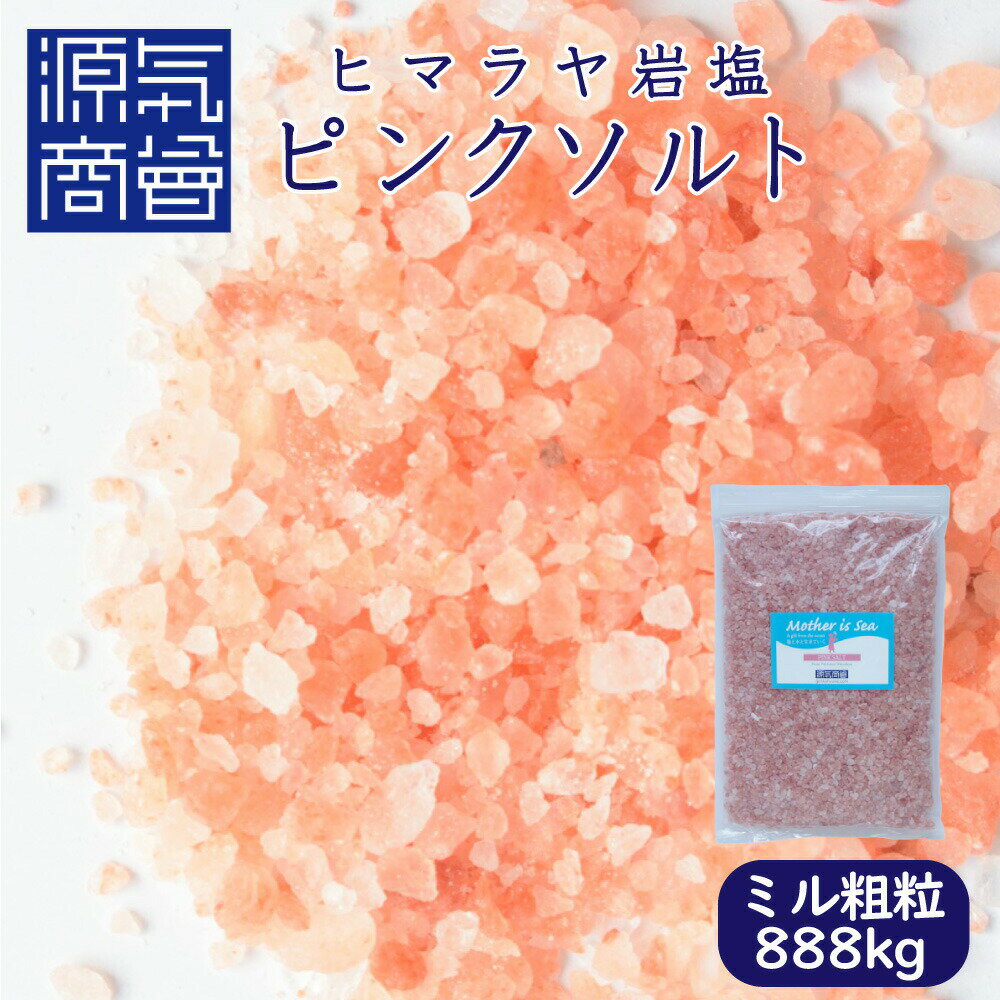 ピンク岩塩 ピンクソルト ヒマラヤ産 岩塩 食用 粗粒 ミルタイプ 888g パウチ ｜ 源気商会 ヒマラヤ岩塩 パキスタン 無添加 添加物不使用 調味料 天然塩 自然塩 【 メール便 送料無料 】