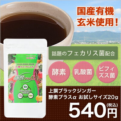 【メール便】初回限定・シガリオ上撰ブラックジンガー 酵素プラスα　お試し20g/ 腸内フローラ / 乳酸菌 / ビフィズス菌 / 酵素【ノンカフェイン アイスコーヒー 妊婦 コーヒー 玄米珈琲】