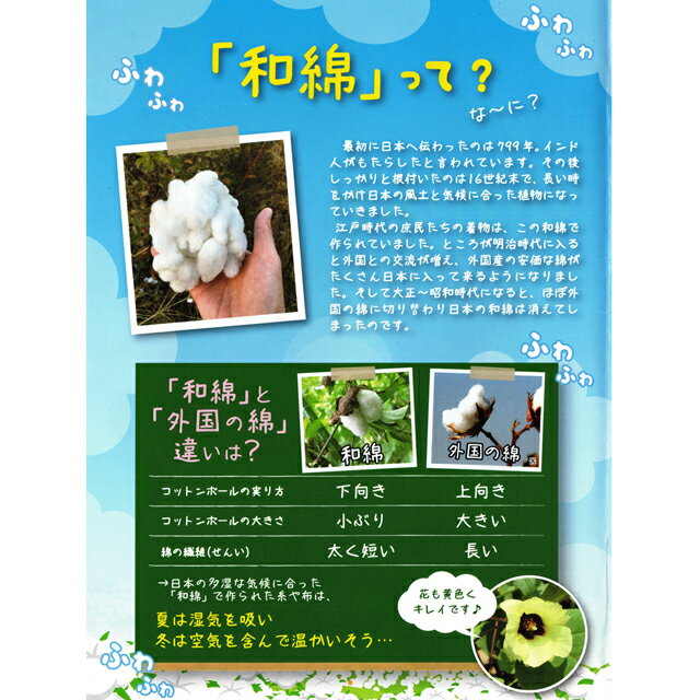 【送料無料】オーガニックコットン ハート型お肌洗いミトン・浴用タオルセット 和綿 日本製 2