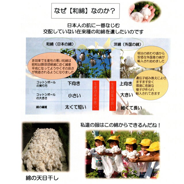 【送料無料】オーガニックコットン ハート型お肌洗いミトン・浴用タオルセット 和綿 日本製 3
