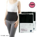 健美未来 シルクプロテイン 腹巻 綿 薄手<ボディウォーマー/ネックウォーマー>日本製 男女兼用 フリーサイズ×2枚セット【メール便送料無料】