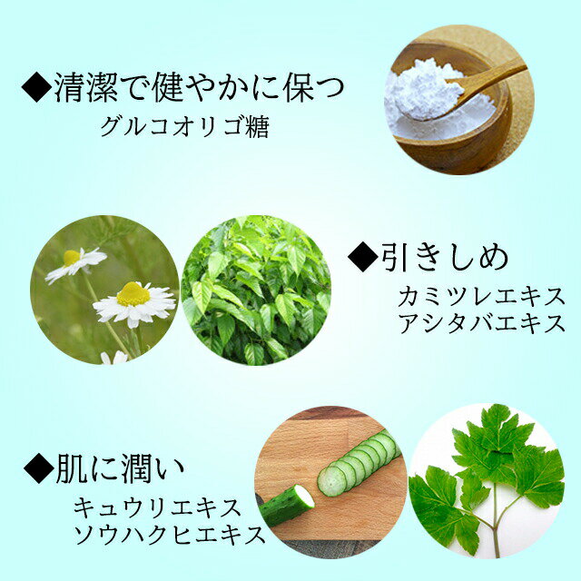 ナチュレルSP クレンジングゲルエコポンプ550g（水溶性クレンジング・洗顔料）弱酸...