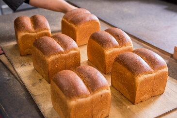 無添加 <玄米ペースト食ぱん> 1斤2個セット お取り寄せ 低糖質 糖質制限 低カロリー パン 冷凍パン おきかえ 食パン プレゼント 贈り物 玄米パン 添加物不使用 伊佐米使用 保存食【他商品との同梱不可商品】