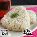 玄米おむすび 塩 1個 おにぎり 冷凍 玄米おにぎり 玄米 個包装 レンチン 酵素 玄米 発芽 発酵 国産米 契約栽培米 無添加 レンジで簡単 お弁当 朝ごはん...