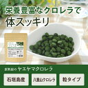 genryoya:10001658のサンプル画像2