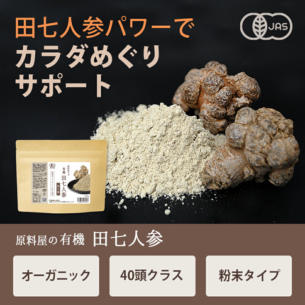 有機 オーガニック 田七人参 40頭サイズ [ 1袋 100g 約33日分 ] 高麗人参の10倍以上の サポニン 粉末 サプリ 三七人参 2