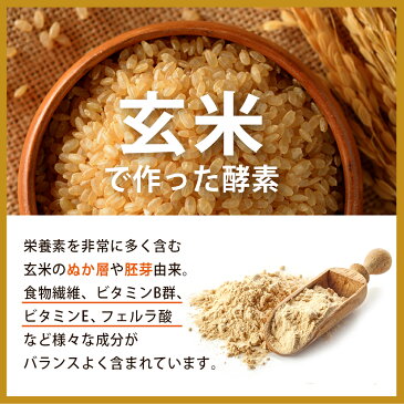 健康食品の原料屋 酵素 粉末 玄米発酵食品 サプリメント 約33日分 100g×1袋