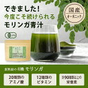 健康食品の原料屋 有機 オーガニック モリンガ パウダー 国産 滋賀県産 青汁 粉末 約5ヵ月分 100g×5袋 2