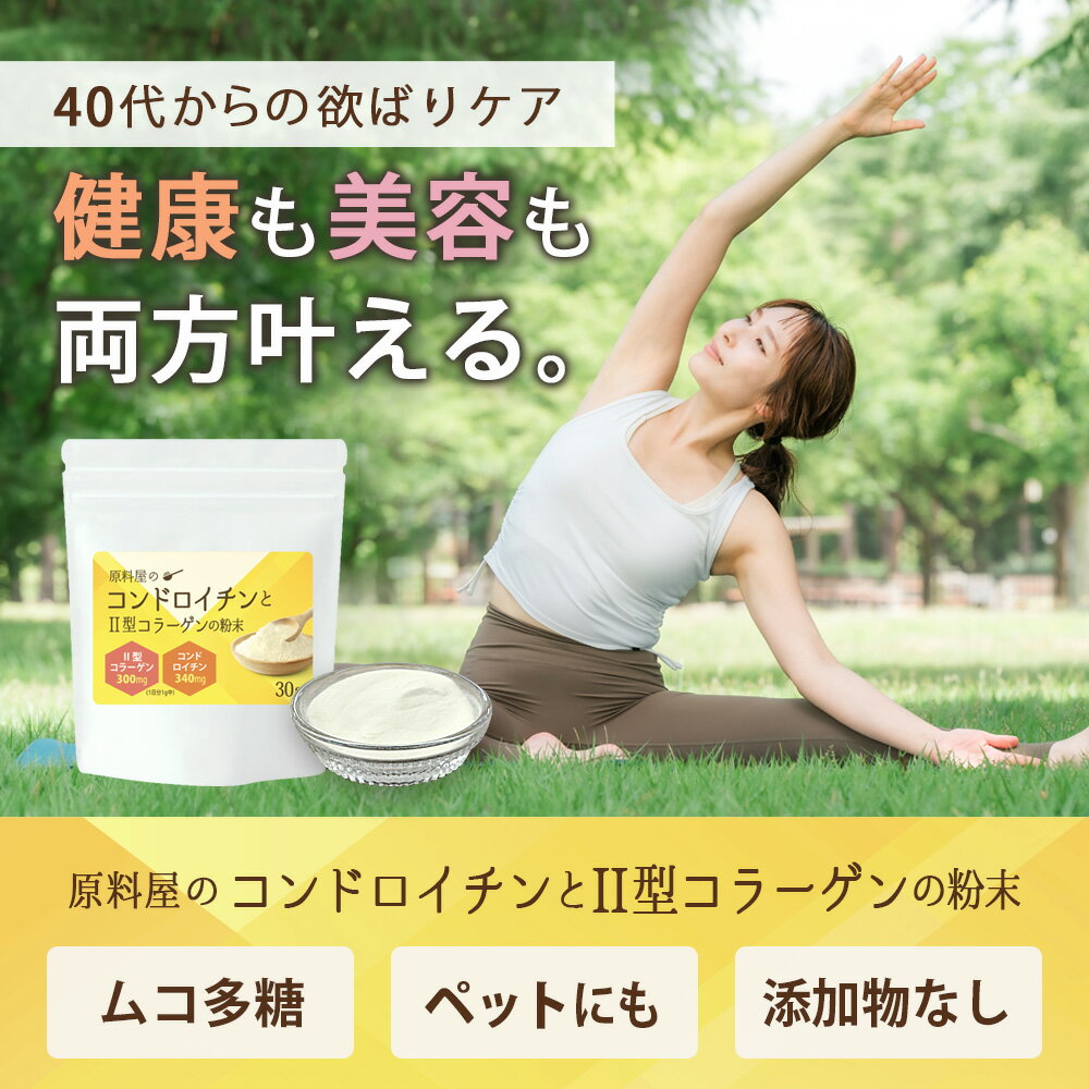 コンドロイチン と 2型 コラーゲンの粉末 サプリ ムコ多糖 タンパク [ 1袋 30g 約3...