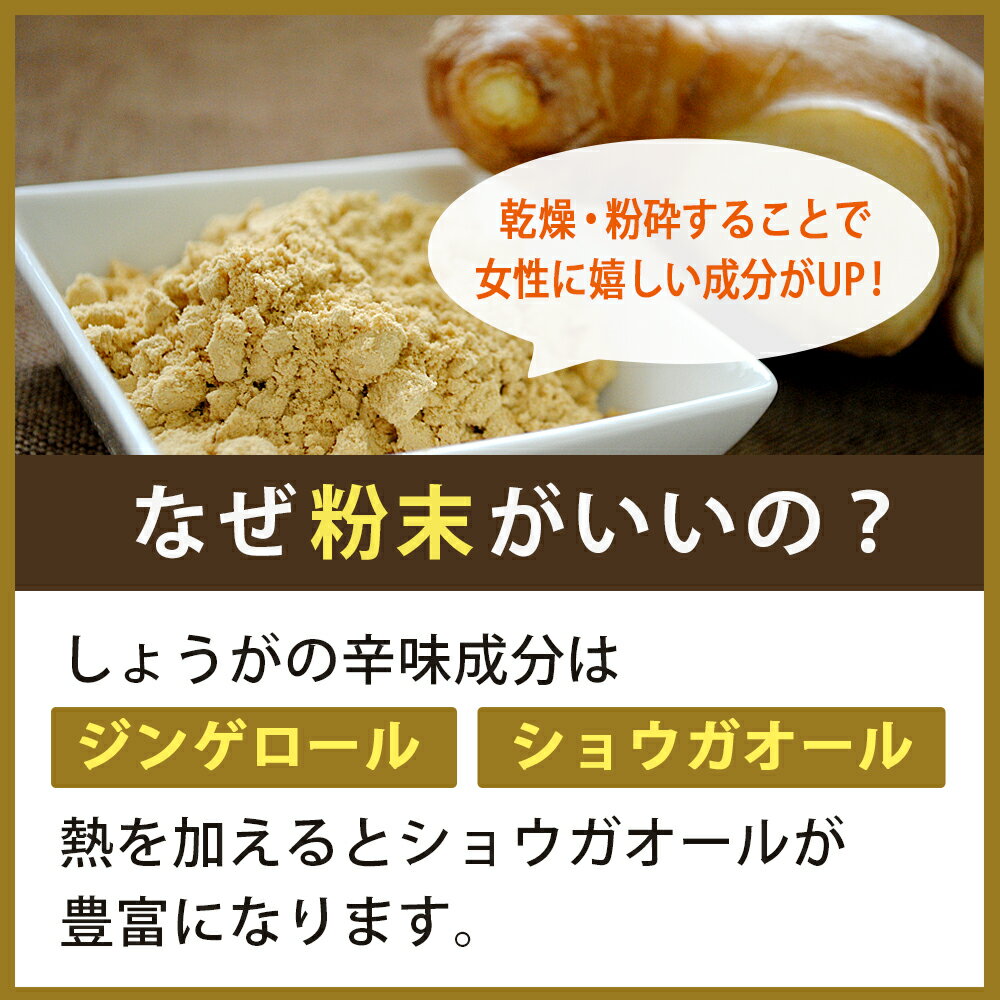 健康食品の原料屋 有機 オーガニック しょうが 粉末 生姜 パウダー お徳用 1kg×1袋 3