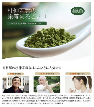 国産(長野県産) 杜仲茶 40g×10個セット 無農薬 無添加 健康食品の原料屋