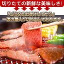 【送料無料】松阪牛　霜降り　焼肉用　特選ロース（サーロイン）500g（5枚） 松阪牛を産地直送 正真正銘血統書付 最高級肉質階級A4~特選A5等級 ご家庭用 お中元 お歳暮 内祝い お祝に 松坂牛 3