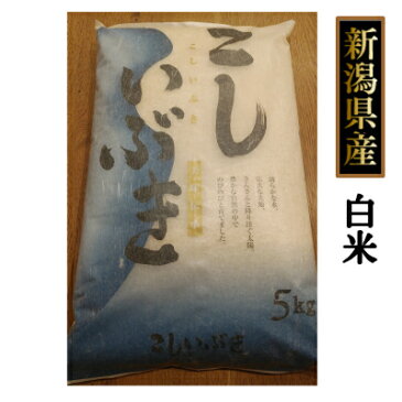 【送料無料】☆お米の新星☆新潟県産 こしいぶき 10kg （5kg×2個） 白米（29年産）［新鮮！厳選☆新潟県産地直送］★お米マイスターが見極める艷やかな透き通る特上の輝き お中元、お歳暮、御祝い、お礼、内祝にも！！ギフト［贈答兼備]特別セール【楽ギフ_のし宛書】