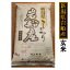 新潟県岩船産 コシヒカリ 10kg （5kg×2個） 玄米（令和5年産）送料無料［贈答兼備]