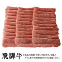 【送料無料】飛騨牛 霜降り すき焼き用モモ100g［贈答兼備］