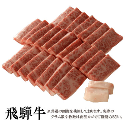 飛騨牛 【送料無料】飛騨牛 霜降り 焼肉用カルビ1Kg［贈答兼備］